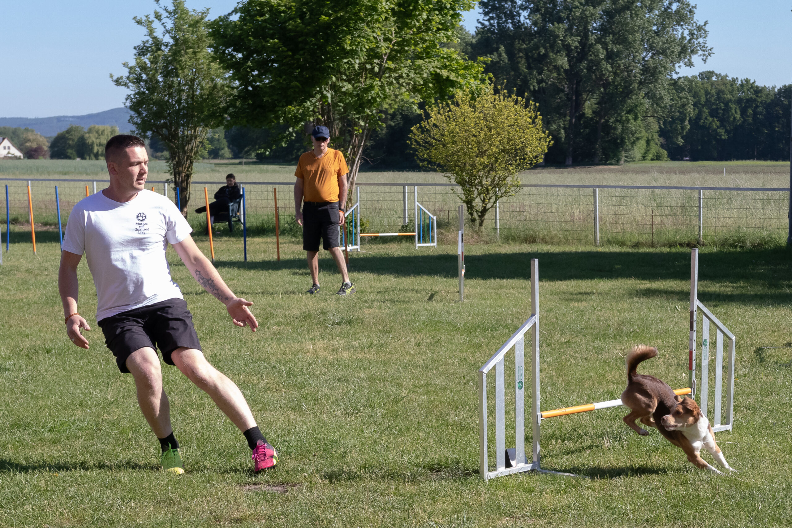Agility Cup & Fun-Turnier: Ein tierisch erfolgreicher Tag! 🐾🎉